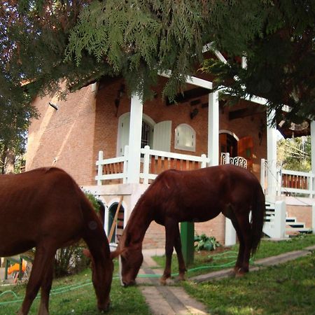 Chale Tanajura - Monte Verde - Lareira, Aconchego E Wifi Villa Eksteriør billede