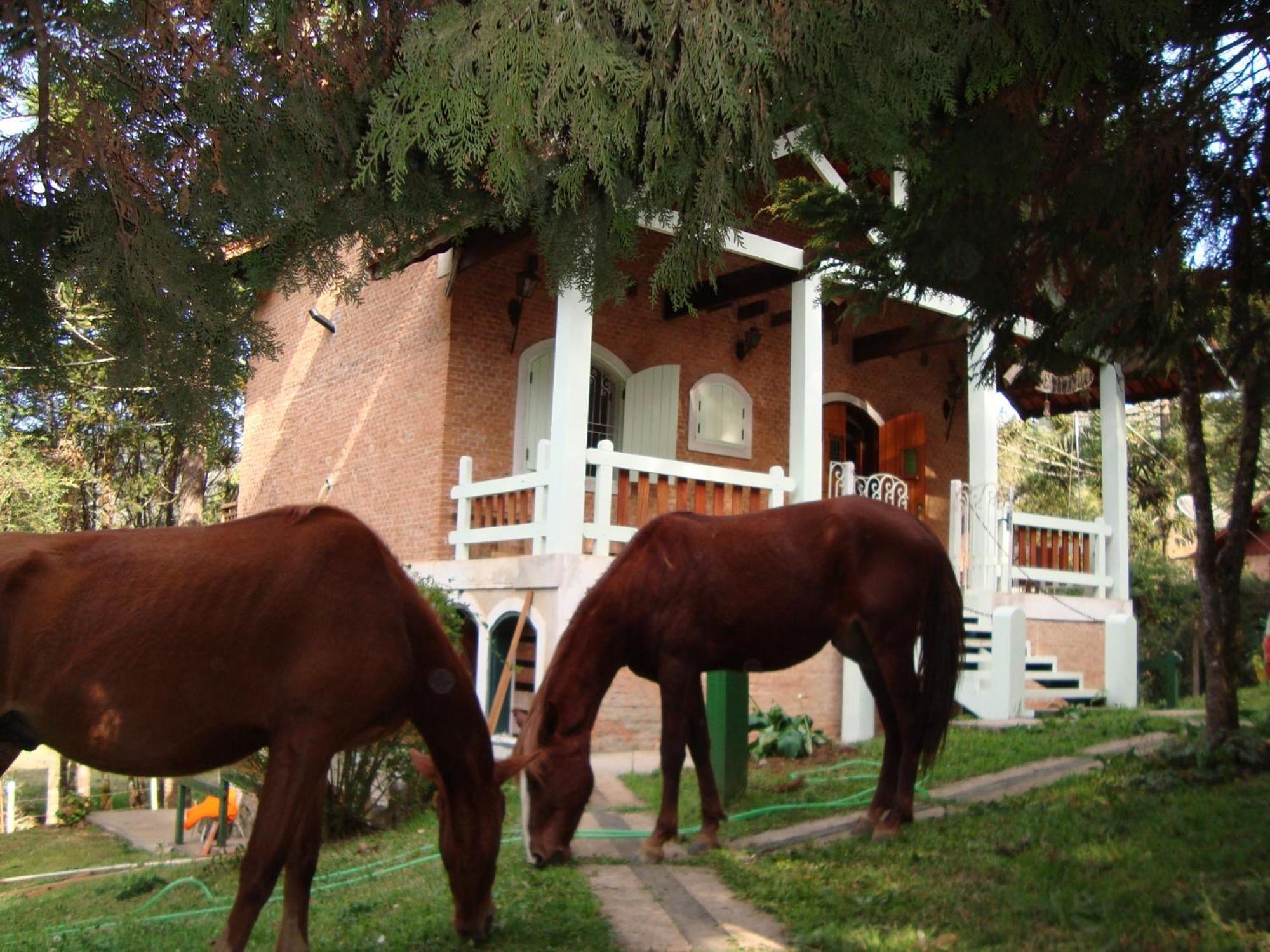 Chale Tanajura - Monte Verde - Lareira, Aconchego E Wifi Villa Eksteriør billede