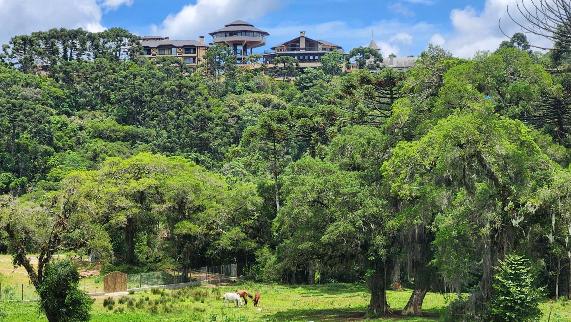 Chale Tanajura - Monte Verde - Lareira, Aconchego E Wifi Villa Eksteriør billede